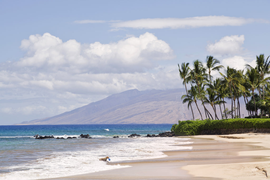White Rock Beach | South Maui | Hawaii Beach Weddings & Elopements | Married with Aloha, LLC