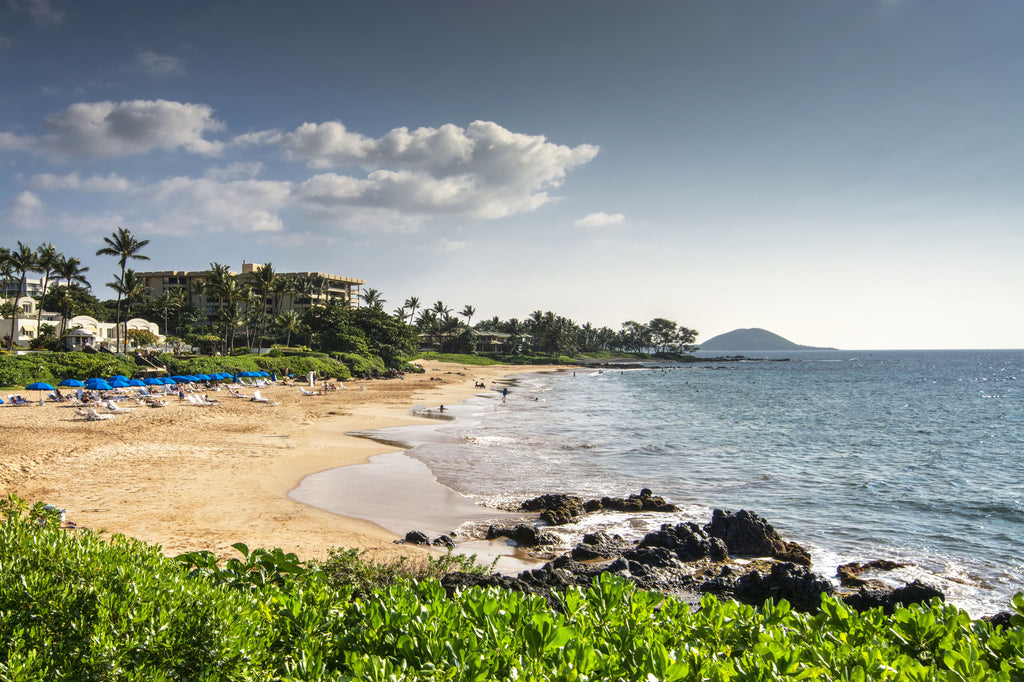 Polo Beach | South Maui | Hawaii Beach Weddings & Elopements | Married with Aloha, LLC