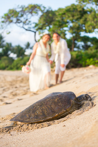 🌺 Kukio Beach | North Kona | Hawaii Beach Weddings & Elopements | Married with Aloha, LLC