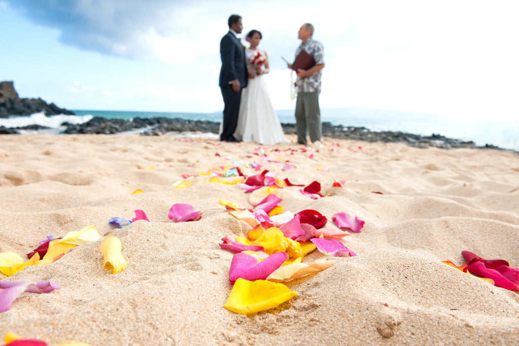 Scattered Rose Petals | Hawaii Beach Weddings & Elopements | Married with Aloha, LLC
