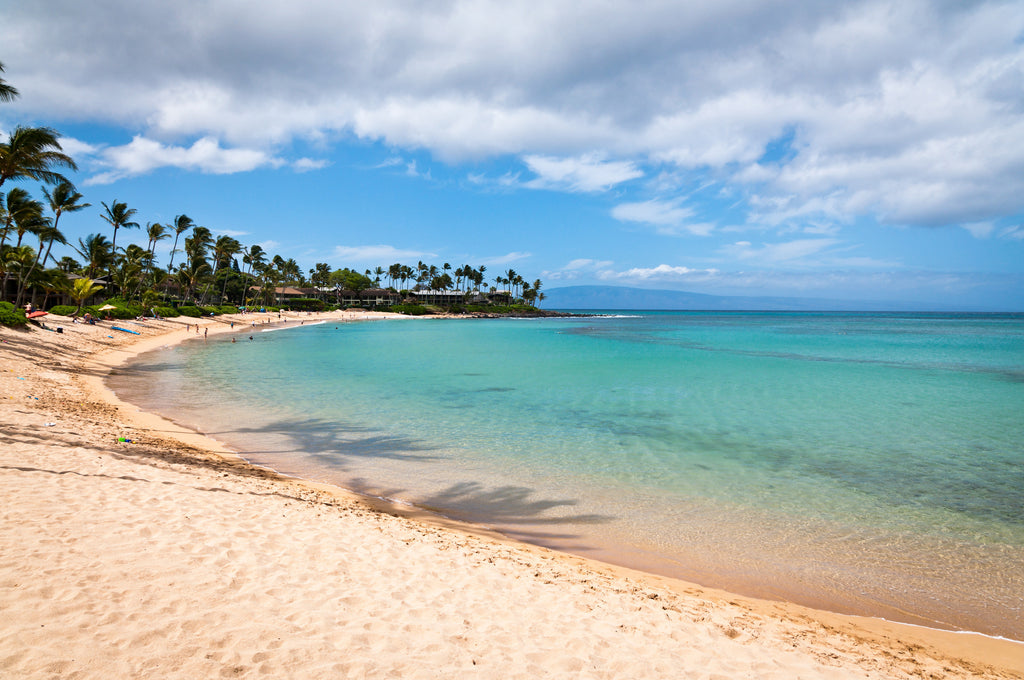 Napili Bay | West Maui | Hawaii Beach Weddings & Elopements | Married with Aloha, LLC